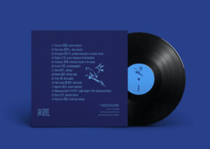 Sam Gendel - blueblue [ LP ]：圖片 3