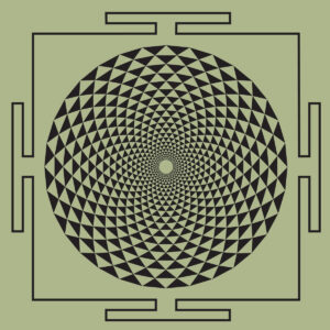 Bombay S Jayashri - Shravanam［ LP ］：圖片 4