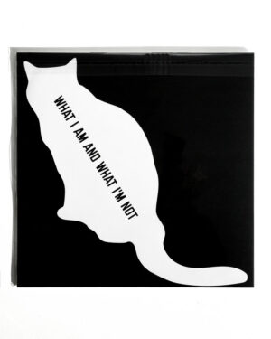 Sarter Kit ​ - What I Am and What I’m Not［ LP ］：圖片 2