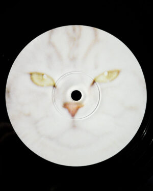 Sarter Kit ​ - What I Am and What I’m Not［ LP ］：圖片 3