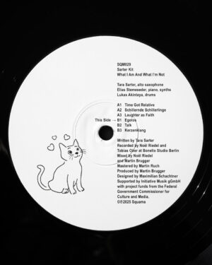 Sarter Kit ​ - What I Am and What I’m Not［ LP ］：圖片 4