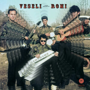 Ansambl Mileta Petrovica - Veseli Romi［LP］