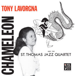 Tony Lavorgna - Chameleon［LP］
