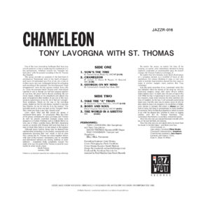 Tony Lavorgna - Chameleon［LP］：圖片 2
