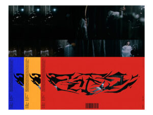 Poeji - Nant［LP］：圖片 3