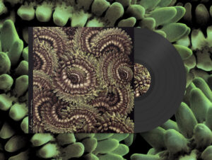 Clan Caimán-  Pica​-​Pau (woodpecker)［LP］：圖片 2