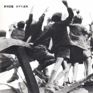 あがた森魚 – 乗物図鑑［LP］