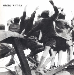 あがた森魚 – 乗物図鑑［LP］