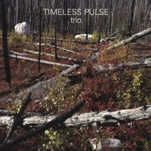Timeless Pulse - Trio［2LP］