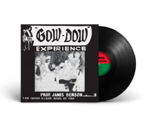 Prof. James Benson - The Gow-Dow Experience [ LP ]：圖片 2