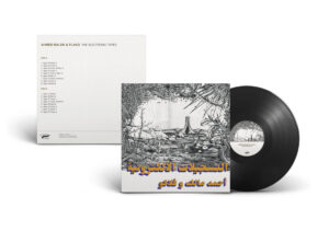 Ahmed Malek ＆ Flako - The Electronic Tapes［LP］：圖片 2