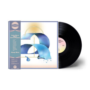 Carlos Niño & Miguel Atwood-Ferguson	- Chicago Waves (IA11 Edition) ［LP］：圖片 2