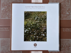 Jeremiah Chiu & Marta Sofia Honer - Recordings from the Åland Islands (IA11 Edition)［LP］：圖片 4