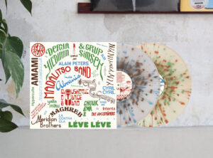 V.A - 2015-2025 : Les Disques Bongo Joe - 10 Years of Sonic Explorations（彩膠）［2LP］：圖片 2