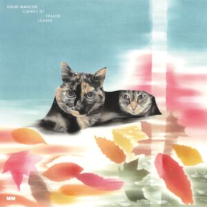 ゑでぃまぁこん - Carpet Of Fallen Leaves［LP］