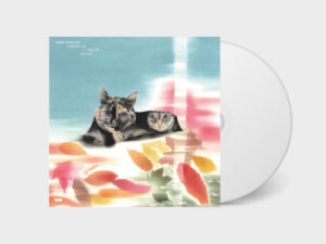 ゑでぃまぁこん - Carpet Of Fallen Leaves［CD］