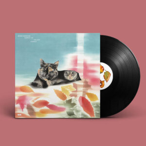 ゑでぃまぁこん - Carpet Of Fallen Leaves［LP］：圖片 2