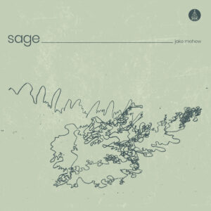 Jake Mehew - Sage［LP］