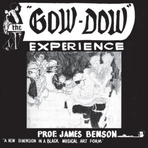 Prof. James Benson - The Gow-Dow Experience [ LP ]
