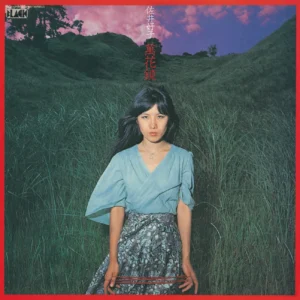 佐井好子 - 萬花鏡（彩膠）[ LP ]