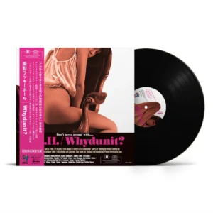 面影ラッキーホール - Whydunit? [ LP ]：圖片 2