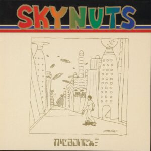 かせきさいだぁ - SKYNUTS ［LP］