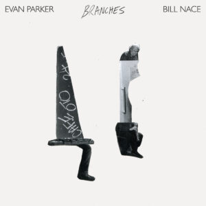 Evan Parker & Bill Nace - Branches［LP］
