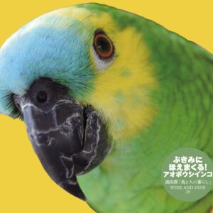 森田潤 JUN MORITA - 鳥と人の暮らし A vida dos pássaros e das pessoas［CD］