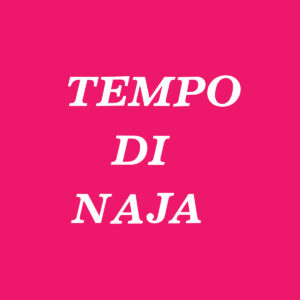 Remigio Ducros - TEMPO DI NAJA［LP］