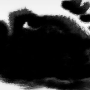 Rafael Anton Irisarri - Points of Inaccessibility［LP］