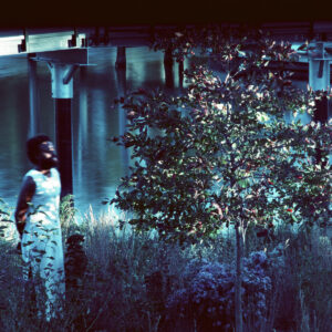 JJJJJerome Ellis - Vesper Sparrow［CD］