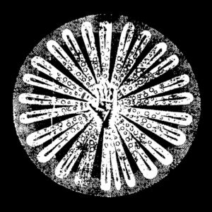 Filhos - Vol.2［卡帶］