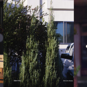 Shinichi Atobe - Silent Way［2LP］（彩膠）