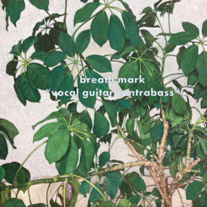 breath mark - vocal guitar contrabass［LP］