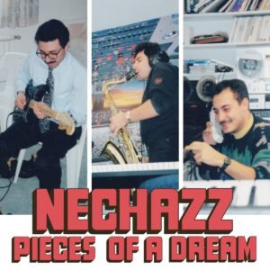 Nechazz - Pieces of a Dream［LP］